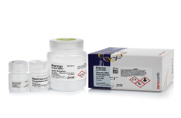 Genomic DNA Purification Kit